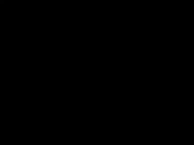 胭脂泪